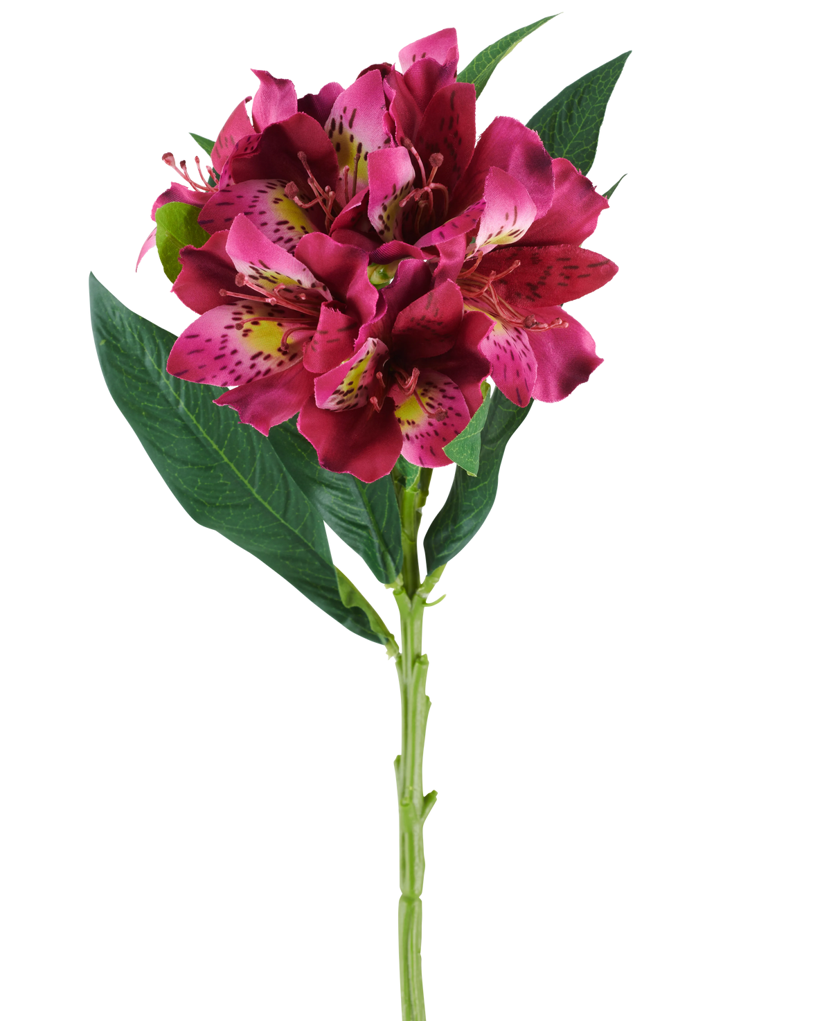 En enkelt stilk af den kunstige Alstroemeria-blomst, der måler 74 cm i røde og lilla toner, med naturtro blomster og grønne blade, isoleret mod en hvid baggrund.