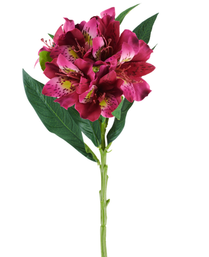 En enkelt stilk af den kunstige Alstroemeria-blomst, der måler 74 cm i røde og lilla toner, med naturtro blomster og grønne blade, isoleret mod en hvid baggrund.