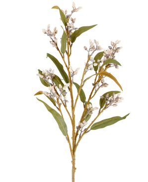En enkelt 78 cm kunstig blomstereukalyptusstængel i creme/brun, med flere grene af grønne blade og klaser af små, runde blomster, afbilledet mod en almindelig hvid baggrund.