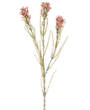 En enkelt 78 cm kunstig blomstervoks i gammel pink har en grøn stilk med tre grene, der hver bærer små, sarte gamle pink blomster og tynde, nålelignende blade, vist mod en almindelig hvid baggrund.