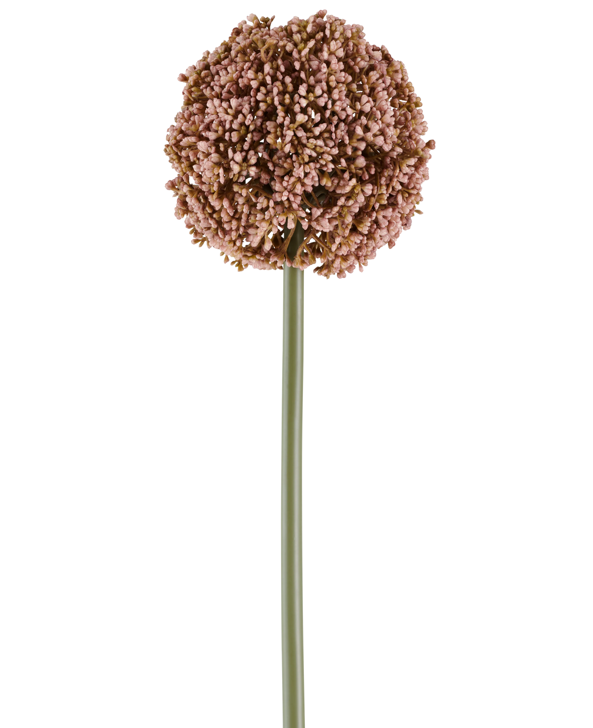En enkelt kunstig blomsterallium på 75 cm i lilla, med en lang grøn stilk og en stor, rund klase af små lilla knopper, afbildet på hvid baggrund.