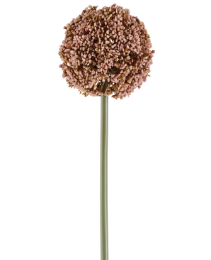 En enkelt kunstig blomsterallium på 75 cm i lilla, med en lang grøn stilk og en stor, rund klase af små lilla knopper, afbildet på hvid baggrund.