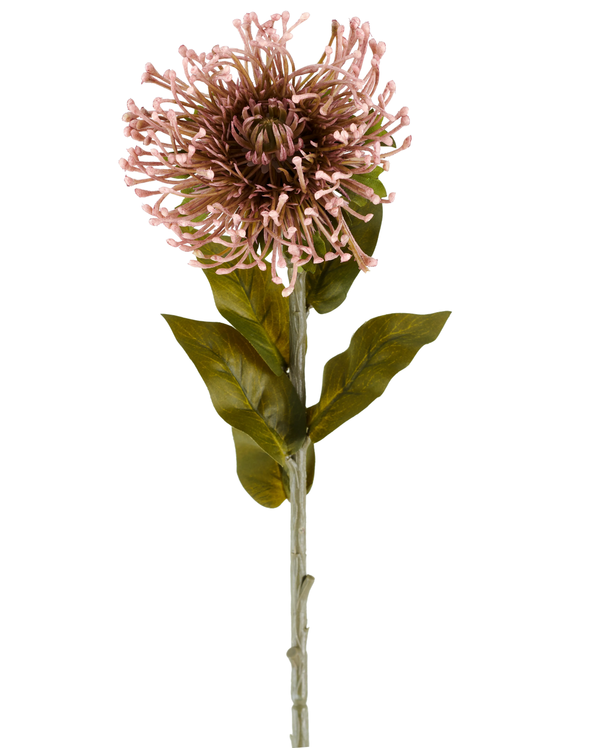 Artificial Flower Protea 65 cm lilla er en enkelt kunstig blomst i form af en protea, med en rund klase af lilla, spidse kronblade, grønne blade og en lang stilk, afbildet mod en almindelig hvid baggrund.