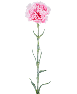 Kunstig blomst: 68 cm nelliker, lyserød, med pjuskede lyserøde kronblade på en lang grøn stilk, isoleret mod en hvid baggrund.