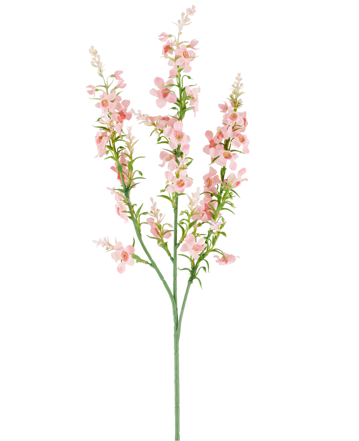 En enkelt grøn stilk med flere grene bærer klynger af små, sarte, lyserøde kunstig blomst Catmint 75 cm lyserøde blomster og grønne blade, afbilledet mod en almindelig hvid baggrund.