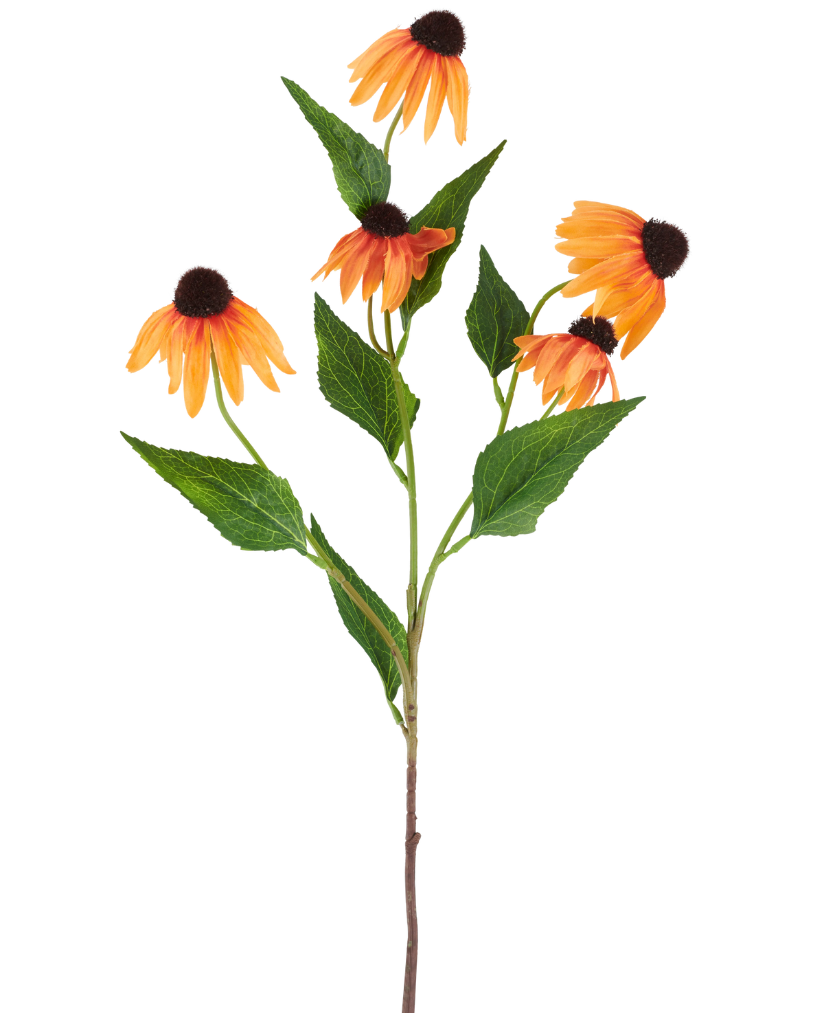 En enkelt kunstig blomst Echinacea på 75 cm, orange, med fem levende orange kappeblomster, hver med en mørkebrun midte og omgivet af grønne blade, mod en almindelig hvid baggrund.