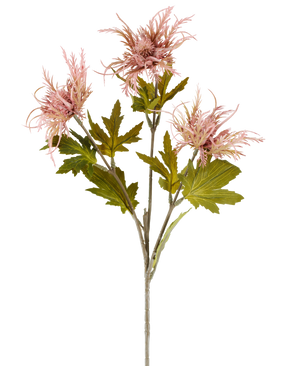 En enkelt stilk af kunstig blomst Armeria maritima, 67 cm gammel pink, med flere grønne blade og tre spidse, gamle pink blomster, afbildet mod en almindelig hvid baggrund.