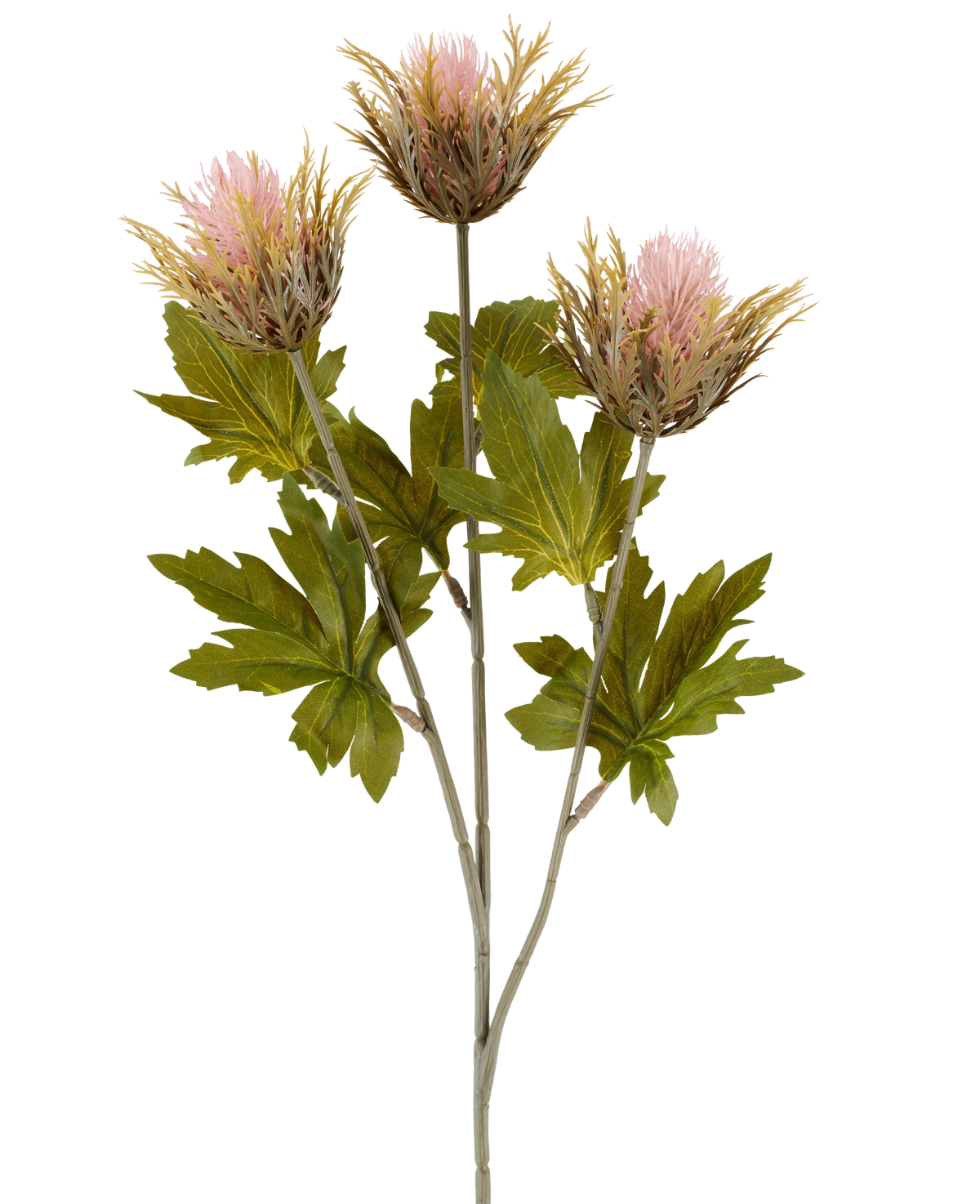 Kunstig blomst Tidsel 67 cm gammel pink består af tre lyserøde og guldfarvede, spidse kunstige tidselblomster med grønne blade på grå stængler, afbildet mod en hvid baggrund.