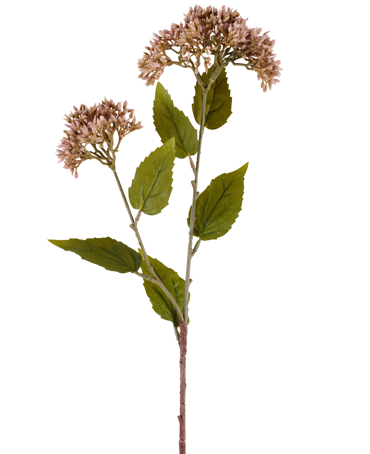 En enkelt stilk af kunstig blomst Sedum 67 cm lilla har to bundter af små, lyse lilla blomster og talrige grønne blade mod en hvid baggrund.