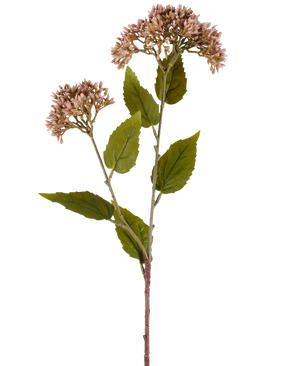 En enkelt stilk af kunstig blomst Sedum 67 cm lilla har to bundter af små, lyse lilla blomster og talrige grønne blade mod en hvid baggrund.