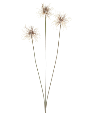 Tre kunstige blomster af slægten Xanthium i creme og brun, hver med tynde, lange stængler på 64 cm, arrangeret i vifteform mod en almindelig hvid baggrund.
