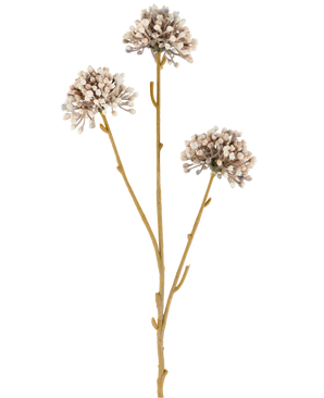 Tre brune stængler af Artificial Flower Mini Allium 60 cm creme/brun strækker sig opad, hver med en rund klynge af små, subtile cremefarvede og brune knopper for enden mod en almindelig hvid baggrund. Det hele ser minimalistisk og naturligt ud.