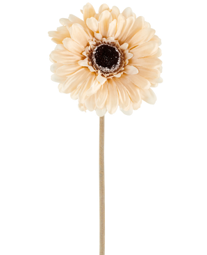 Artificial Flower Gerbera 53 cm creme/brun består af en enkelt lys ferskenfarvet kunstig gerbera med lagdelte kronblade og et mørkebrunt hjerte på en lang, slank stilk, afbildet mod en almindelig hvid baggrund.
