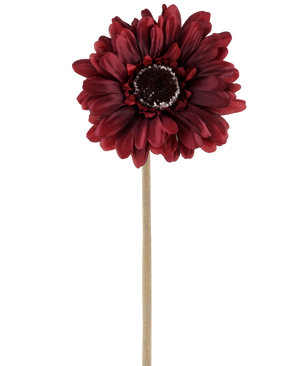 Artificial Flower Gerbera 53 cm bordeaux består af en kunstig gerbera i en rig, mørkerød nuance med lagdelte kronblade og et brunt hjerte, knyttet til en lang, lige, lys stilk og præsenteret mod en almindelig hvid baggrund.