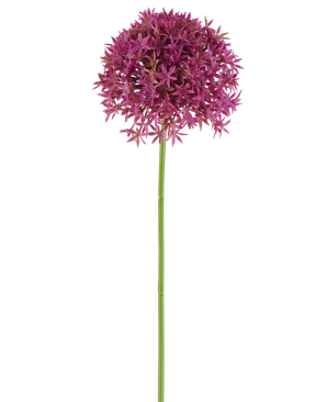 En enkelt lang stilk af kunstig blomster mælkebøtte 63 cm fuchsia bærer en rund klase af små, stjerneformede, fuchsia blomster mod en hvid baggrund.