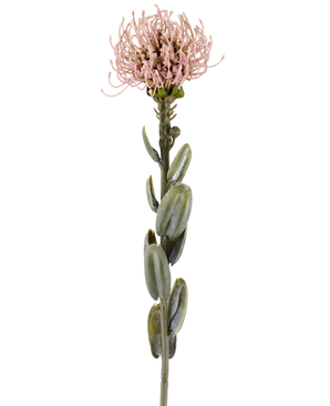 En enkelt stilk af Artificial Flower Protea 61 cm lilla, med ovale grønne blade og en rund, spids lys lilla-lyserød blomst i toppen, afbilledet mod en almindelig hvid baggrund.