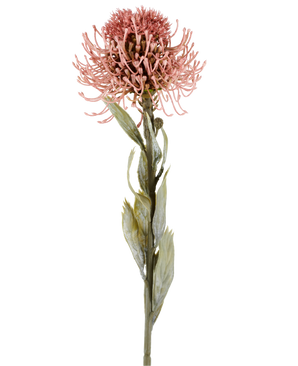 Kunstig blomst Protea 60 cm gammel rosa med spidse lyserøde kronblade og grønne blade på en lang stilk, vist mod en almindelig hvid baggrund.