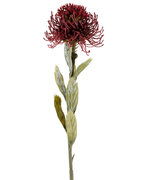 En enkelt Artificial Protea-blomst på 60 cm i bordeaux har en mørkerød, spids blomst med grønne blade, fotograferet mod en hvid baggrund.