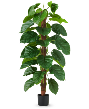 Den kunstige plante Epipremnum aureum 150 cm er en høj kunstig plante med store, blanke grønne blade, præsenteret i en sort potte mod en almindelig hvid baggrund.