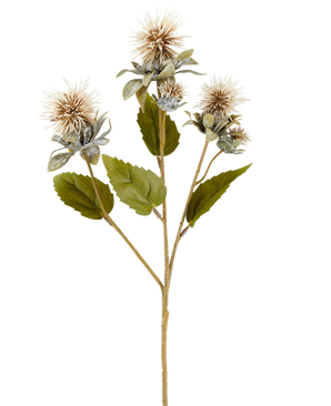 En enkelt stilk af kunstig blomstertidsel 57 cm creme/brun, med tre spidse, runde, lysebrune blomster og nogle grønne blade, afbildet på hvid baggrund.