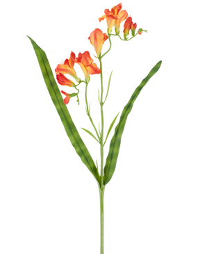 En enkelt stilk af Artificial Flower Freesia 56 cm orange, med lange, smalle grønne blade og flere orange freesia-blomster i blomst i toppen, afbilledet mod en hvid baggrund.