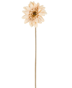 En enkelt Artificial Flower Mini Gerbera i creme/brun, med lagdelte kronblade og en lang, tynd stilk på 47 cm, centreret mod en hvid baggrund.