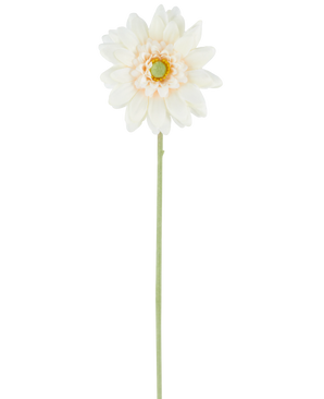 Artificial Flower Mini Gerbera 47 cm cremen er en enkelt kunstig blomst i en cremet hvid nuance, med lagdelte kronblade og et grønt hjerte, knyttet til en lang, lige grøn stilk og præsenteret mod en almindelig hvid baggrund.