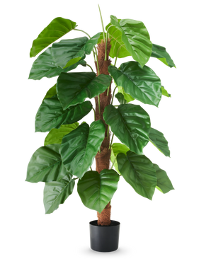 En kunstig plante Epipremnum aureum, 120 cm høj, med store, blanke grønne blade i en sort potte, afbildet mod en almindelig hvid baggrund.