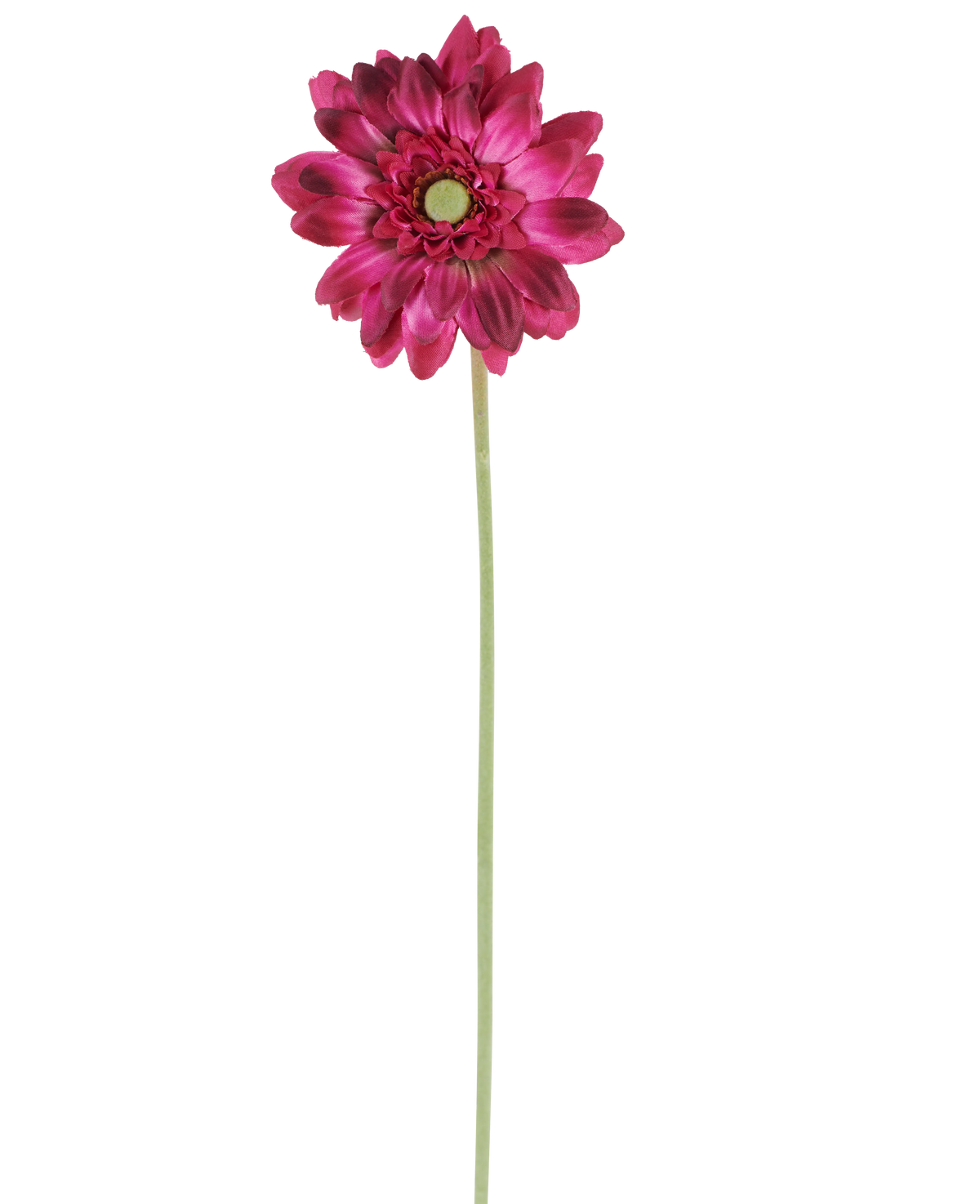 En enkelt Artificial Flower Mini Gerbera på 47 cm i mørk pink med lagdelte kronblade og et grønt hjerte på en lang, slank grøn stilk, isoleret mod en hvid baggrund.