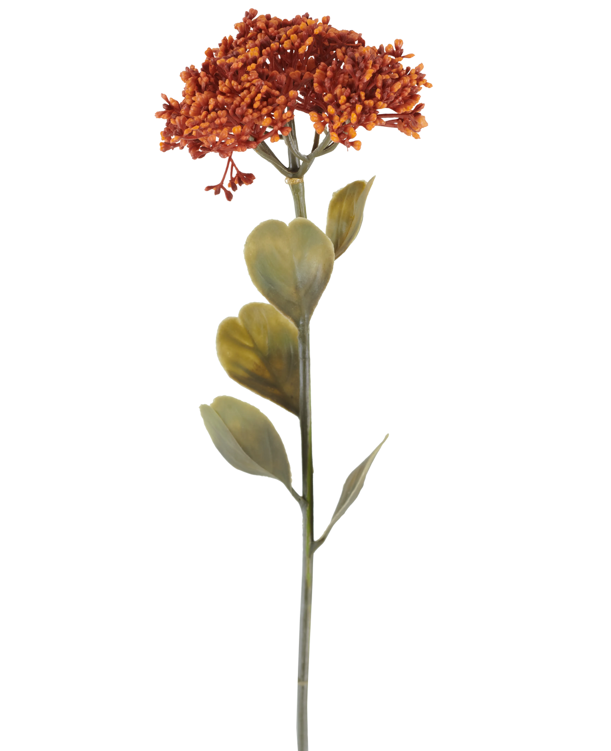 En enkelt kunstig Sedum-blomst på 46 cm i forvitret orange, med bundter af små rød-orange blomster og nogle grønne blade, afbildet på en hvid baggrund.