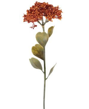 En enkelt kunstig Sedum-blomst på 46 cm i forvitret orange, med bundter af små rød-orange blomster og nogle grønne blade, afbildet på en hvid baggrund.