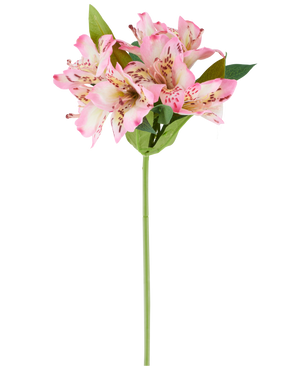 En enkelt kunstig Alstroemeria-blomst på 47 cm, pink/creme, med forskellige pink- og cremefarvede blomster og grønne blade, vist mod en hvid baggrund.