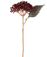 Een enkele Kunstbloem Gedroogde Hortensia in bordeauxrood, met een lengte van 38 cm, met gedroogde roodbruine bloemblaadjes, een trosje kleine knoppen en één groen blad aan een lange, slanke steel, staat afgebeeld tegen een witte achtergrond.