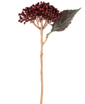 En enkelt kunstig blomst tørret hortensia i bordeauxrød, med en længde på 38 cm, med tørrede rødbrune kronblade, en klynge af små knopper og et grønt blad på en lang, slank stilk, er afbildet på en hvid baggrund.