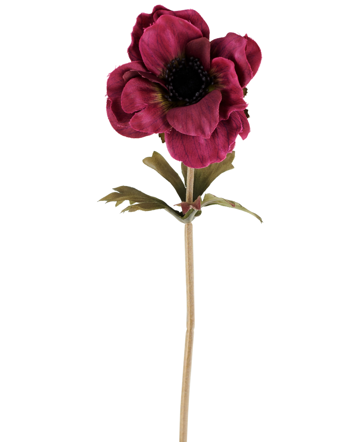 En enkelt kunstig anemoneblomst på 38 cm i bordeauxrød, med lagdelte mørkerosa kronblade, et mørkt hjerte, grønne blade og en lang, slank stilk, afbildet mod en almindelig hvid baggrund.