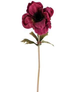 En enkelt kunstig anemoneblomst på 38 cm i bordeauxrød, med lagdelte mørkerosa kronblade, et mørkt hjerte, grønne blade og en lang, slank stilk, afbildet mod en almindelig hvid baggrund.
