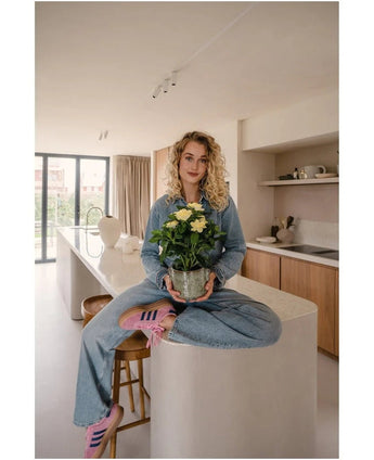 En kvinde med krøllet blond hår, iført denimtøj og lyserøde sneakers, sidder overskrævs på en køkkenø i et moderne, solbelyst køkken og holder den Artificial Gardenia UV 39 cm-plante i hænderne.