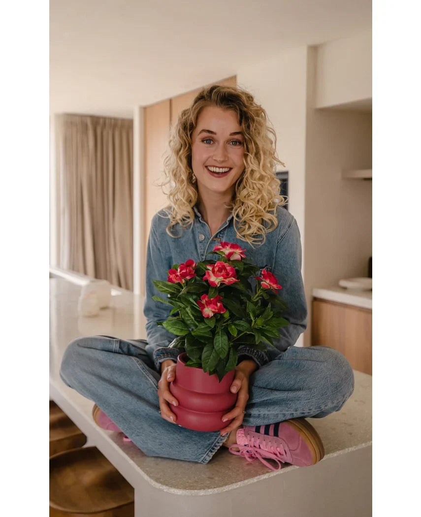 En smilende kvinde med krøllet blond hår sidder overskrævs på en køkkenbord og holder en 39 cm Artificial Gardenia UV-plante i fuchsia. Hun er iført et denimoutfit og lyserøde sneakers.