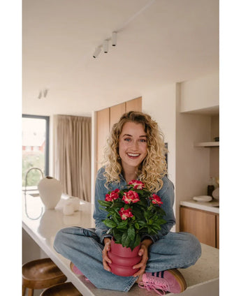 En smilende kvinde med krøllet blond hår sidder overskrævs på en lys, moderne bordplade og holder den Artificial Gardenia UV 39 cm fuchsia-plante – en lyserød potteplante med levende røde blomster. Hun er iført jeans, blå skjorte og lyserøde sko.