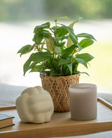 Een Kunstplant „House Wanderer“ in een pot van 25 cm, een witte kaars en een wit object met geometrische vormen staan op een houten dienblad naast een dicht boek, tegen een zachte achtergrond.