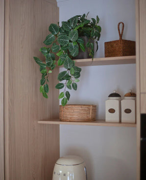 Een keukenplank met daarop de Kunst Hangende Fittonia groen-wit in pot (70 cm), een hangplant, naast een rieten mand, twee potten met etiketten en een klein apparaatje eronder, dit alles tegen een achtergrond van lichte houten kasten.