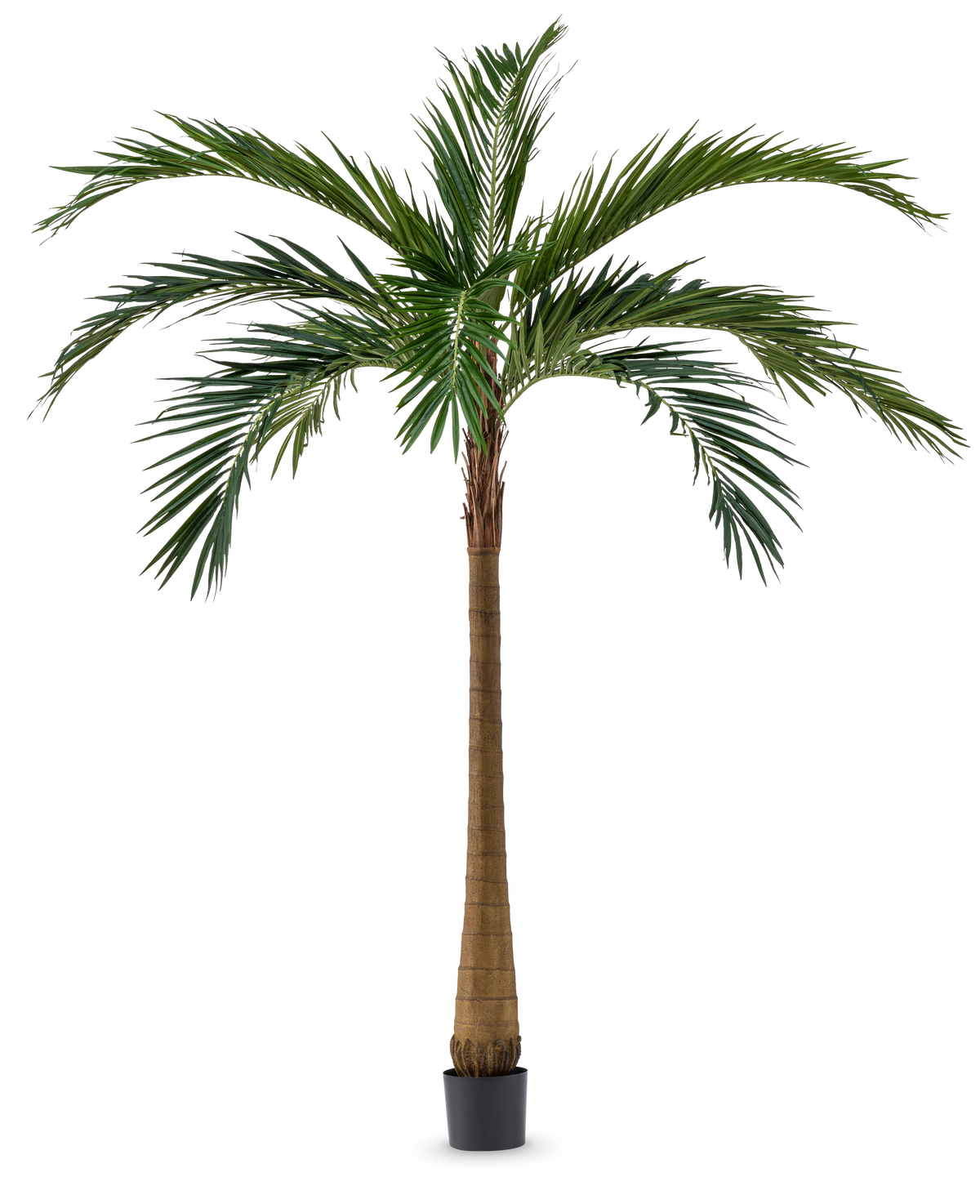 Artificial Palm XL Deluxe 270 cm har en høj, slank brun stamme og store grønne blade, som står elegant i en lille sort potte mod en hvid baggrund.