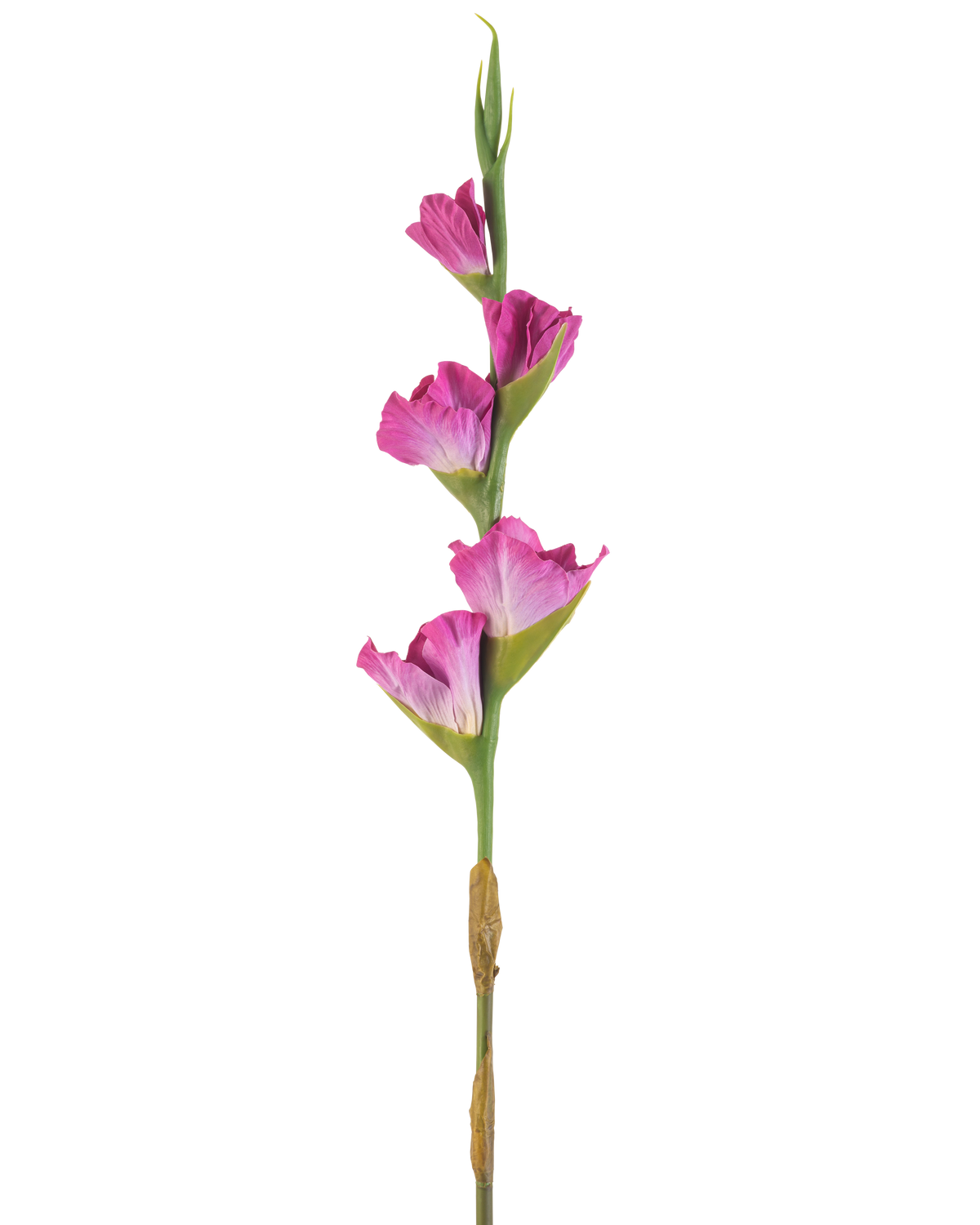 En enkelt stilk af Artificial Flower Gladiolus 83 cm fuchsia har fire levende lyserøde blomster på en grøn stilk, mod en almindelig hvid baggrund.