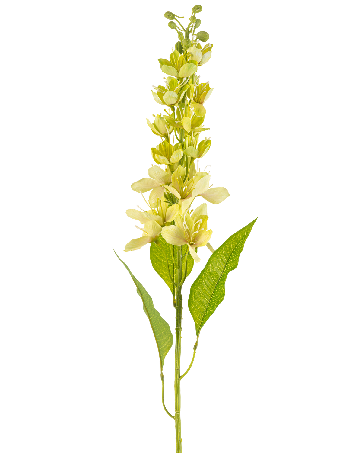 Det asiatiske kunstige æble 84 cm grønt har en enkelt høj stilk med flere lysegule blomster og aflange grønne blade, afbildet mod en hvid baggrund.