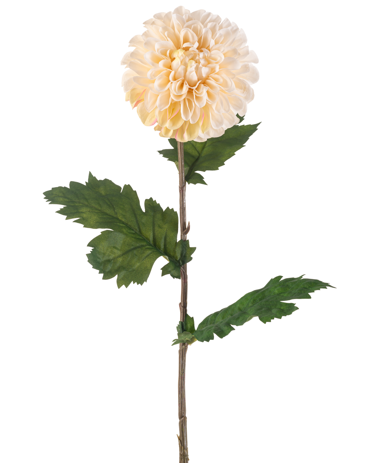 Artificial Flower Dahlia 75 cm cremen har en enkelt stilk med en stor, rund cremet dahliablomst og flere grønne, takkede blade på en hvid baggrund.