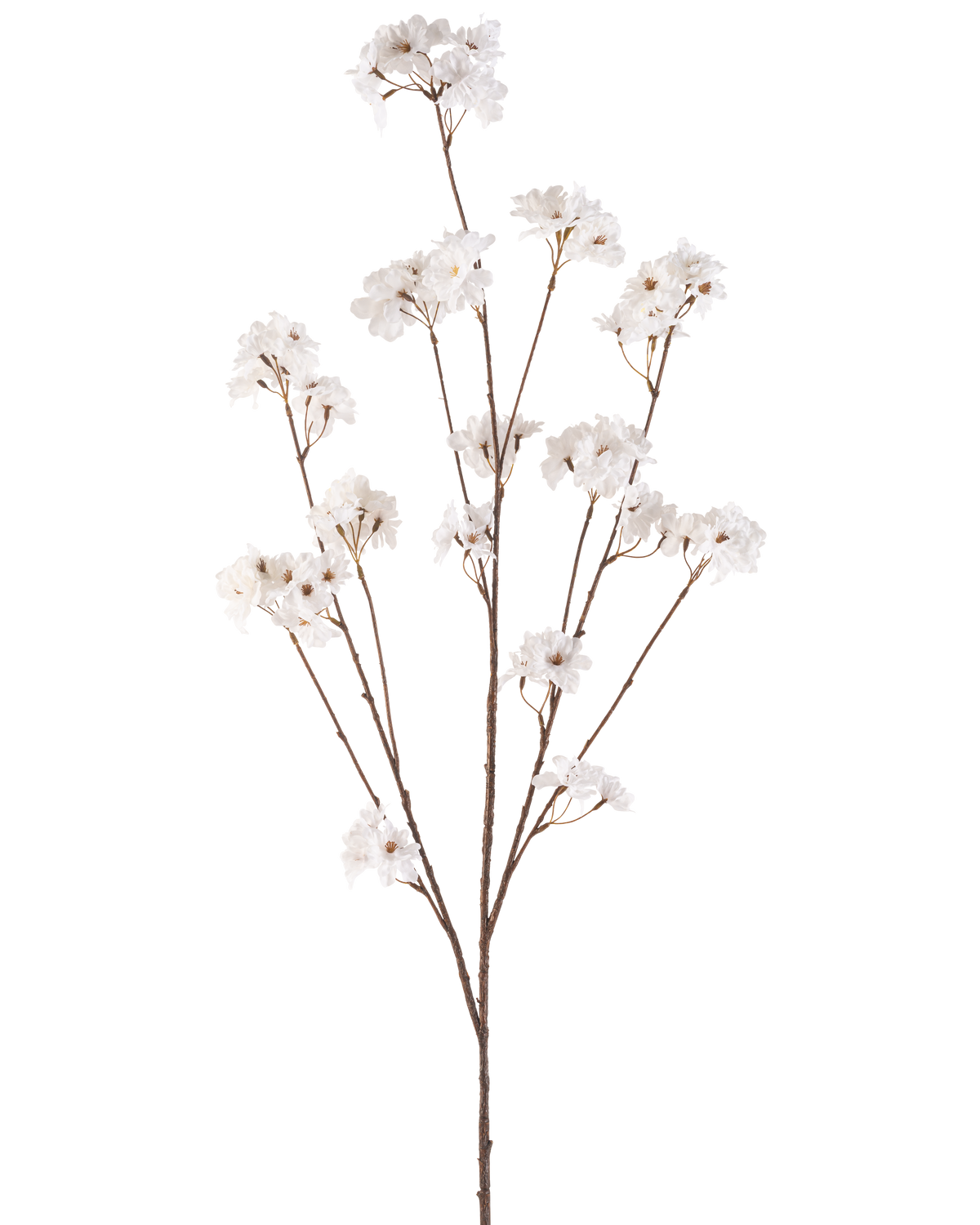 Artificial Flower Cherry Blossom 130 cm cremen har en enkelt brun stilk, der forgrener sig i flere tynde stilke, hver dekoreret med bundter af små, sarte cremekirsebærblomster på en almindelig hvid baggrund.
