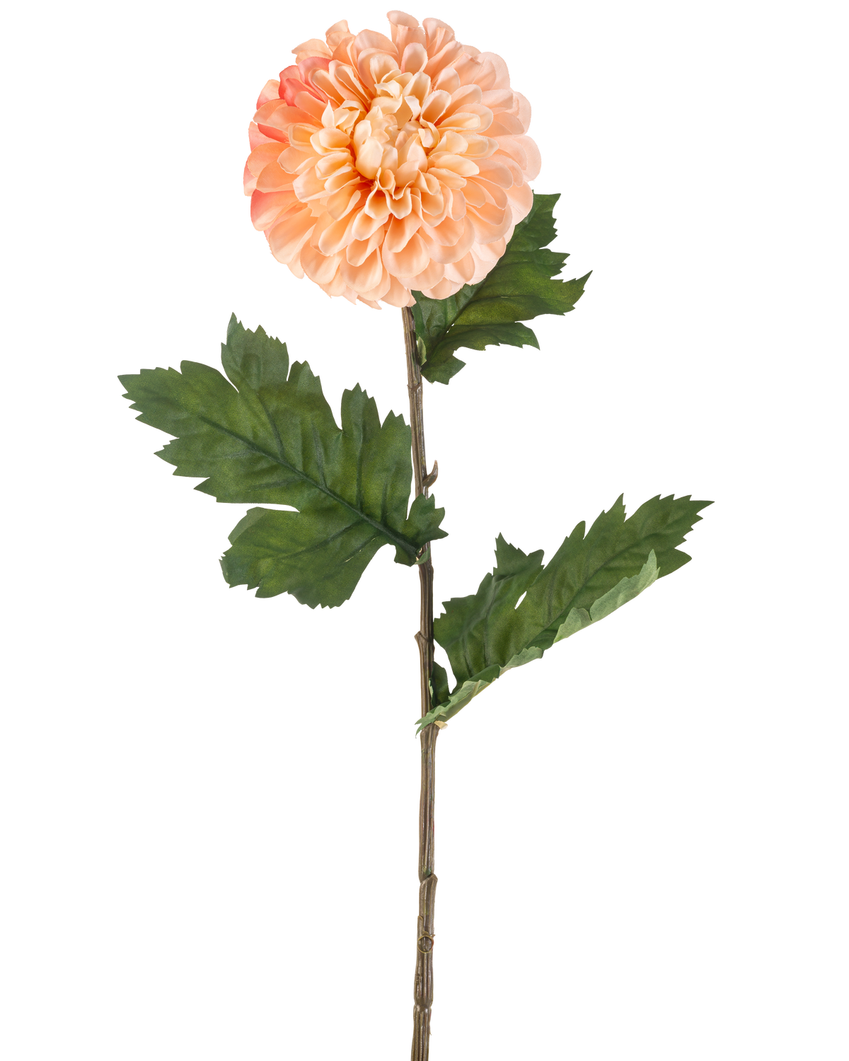 Artificial Flower Dahlia 75 cm fersken har en ferskenfarvet dahlia med lagdelte kronblade og tre bundter takkede grønne blade på en lang stilk, afbildet mod en hvid baggrund.