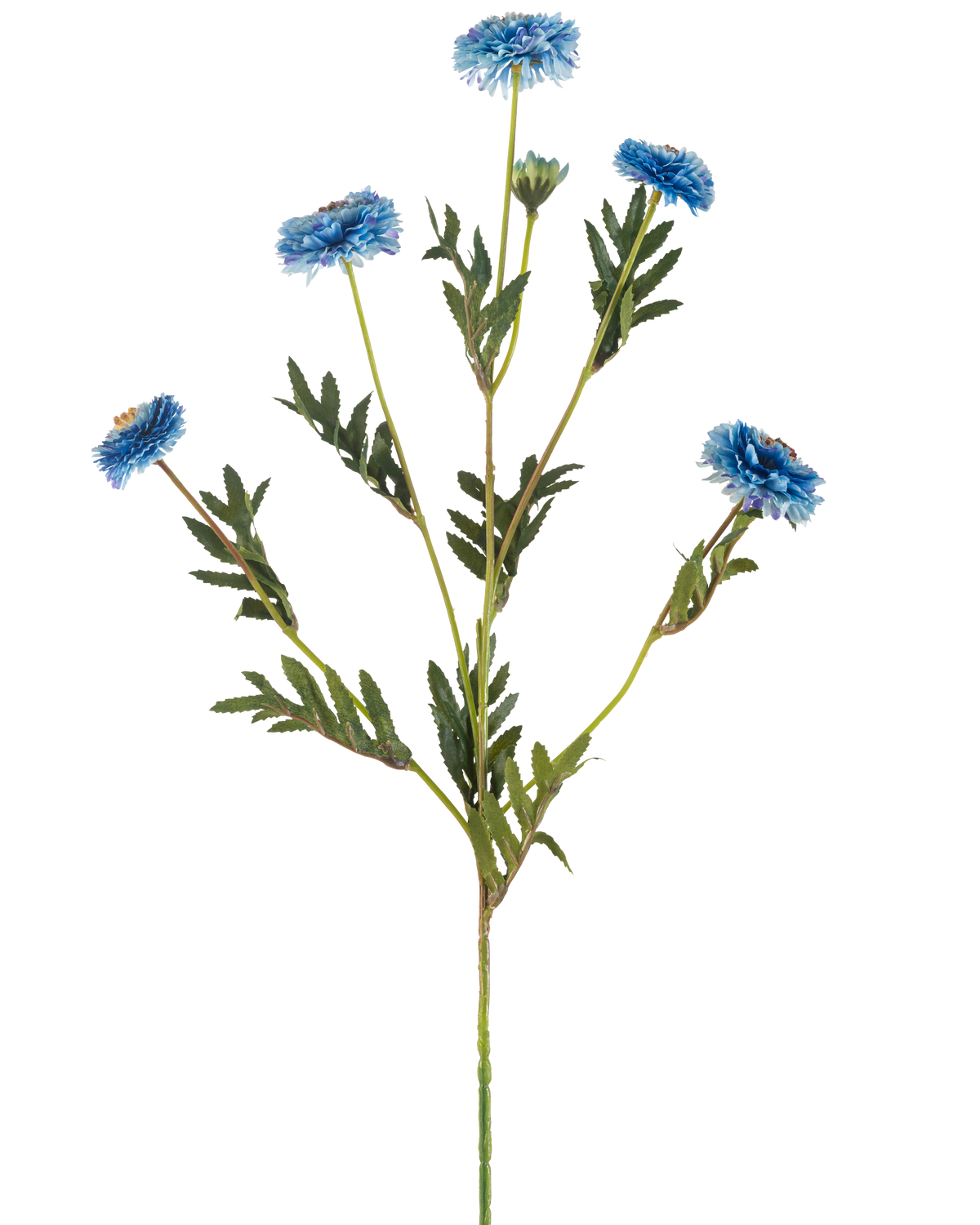 Den Kunstige Blomst Pompon Chrysanthemum 69 cm blå har en enkelt grøn stilk med flere grene, seks blå kunstige blomster med gule hjerter og smalle grønne blade, alt sammen på en hvid baggrund.