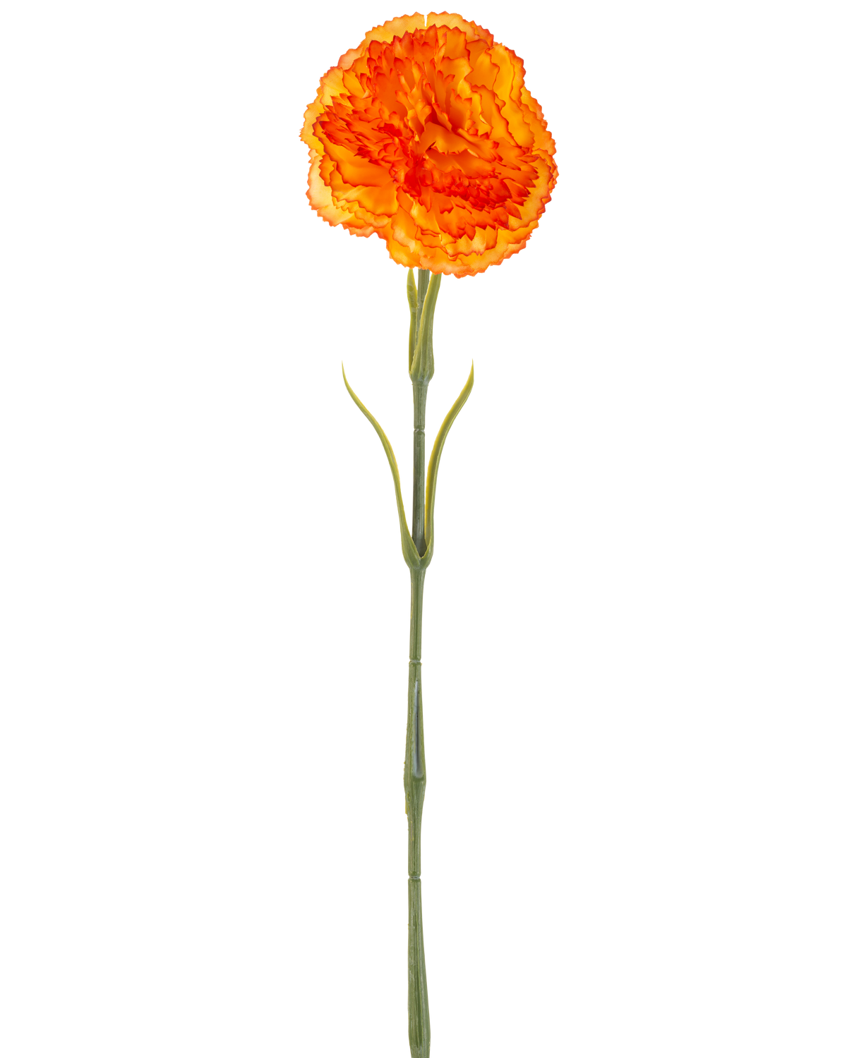 Den kunstige blomsternelliker 57 cm orange er en kunstig orange nelliker med flæser i kronbladene og en lang grøn stilk, isoleret på en hvid baggrund.