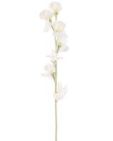 Een enkele Kunstbloem Erwt 64 cm crème heeft meerdere delicate crèmewitte bloesems op lichtgroene stelen, tegen een effen witte achtergrond.